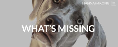 kong_what_missing